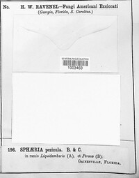Image Associated With the Occurence